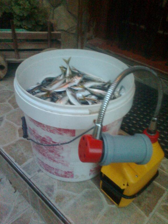 Снимка0843.jpg