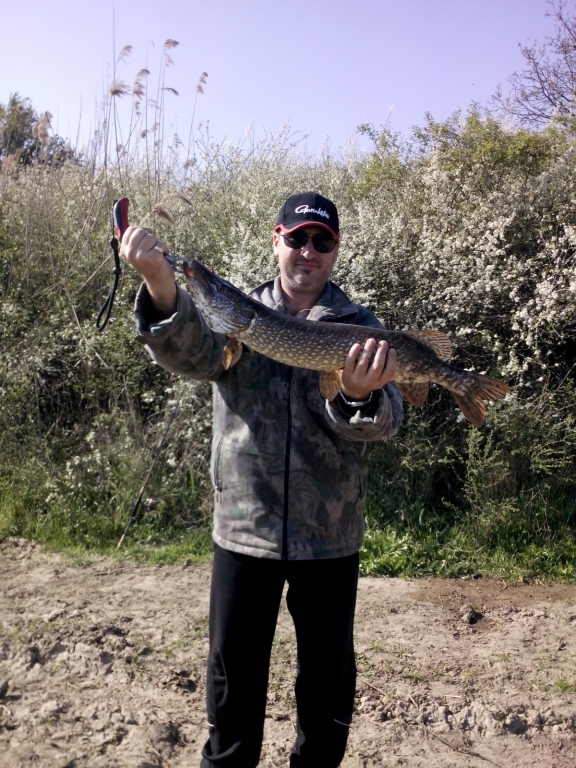 Pike...