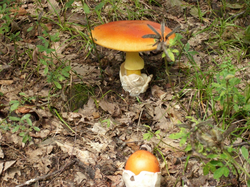 IMG 7153