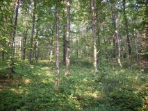 IMG 7190