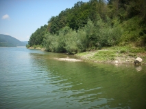 IMG 7215