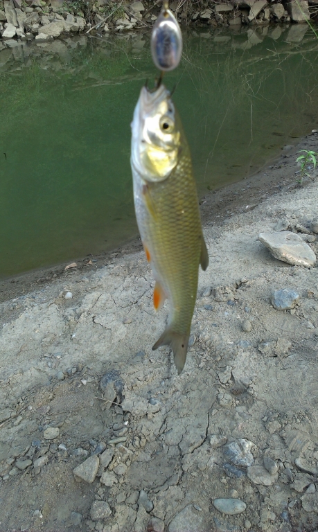 IMAG0237