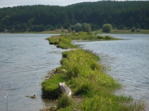 IMG 7341