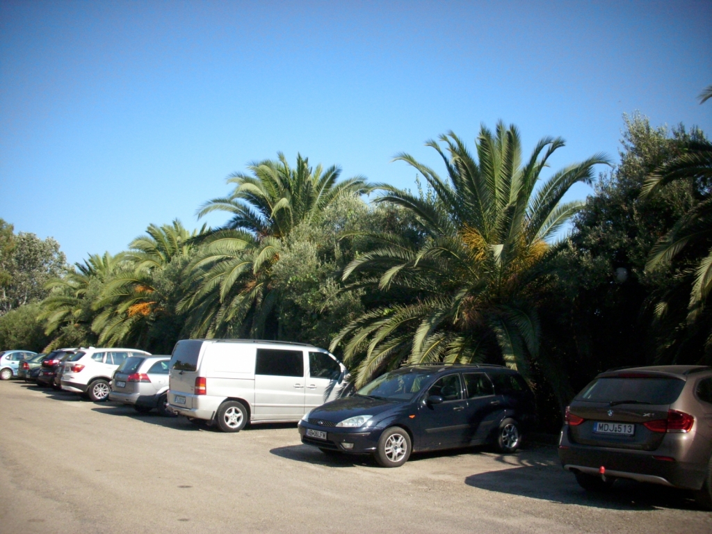 IMG 7416