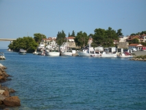 IMG 7423