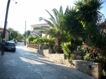 IMG 7511