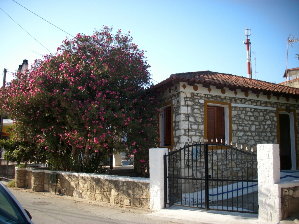 IMG 7516
