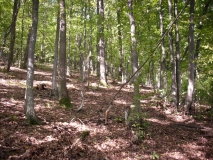 IMG 7596