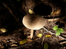 IMG 7657