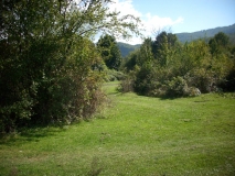 IMG 7676