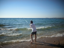 IMG 7739
