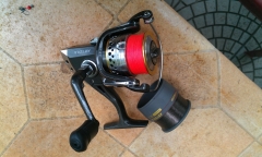 IMAG0543