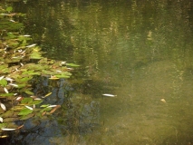 IMG 7816