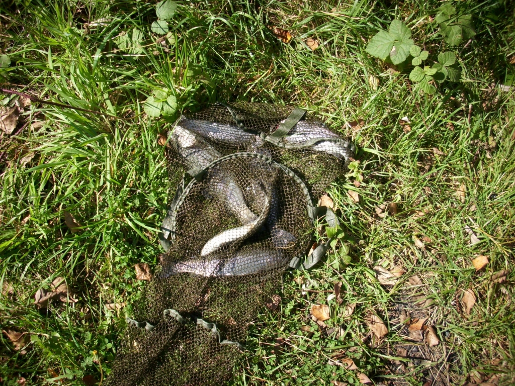 IMG 7823