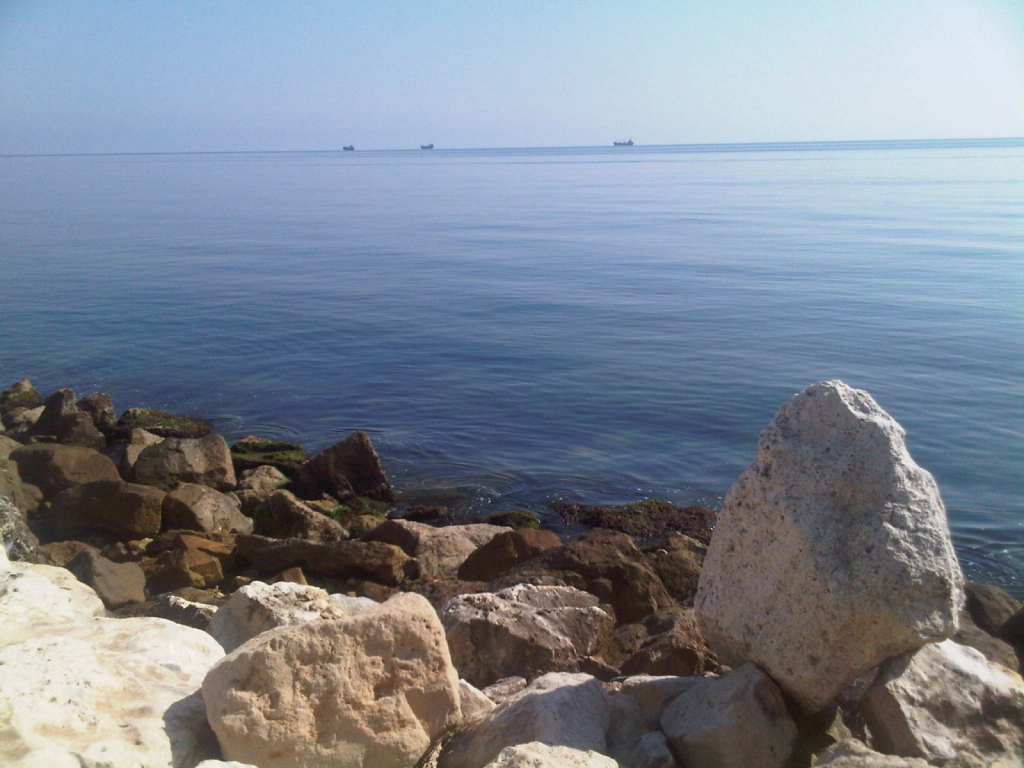 IMG00244-20141014-1339