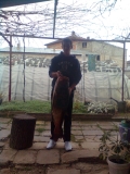 Pictures