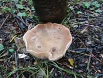 PC093640