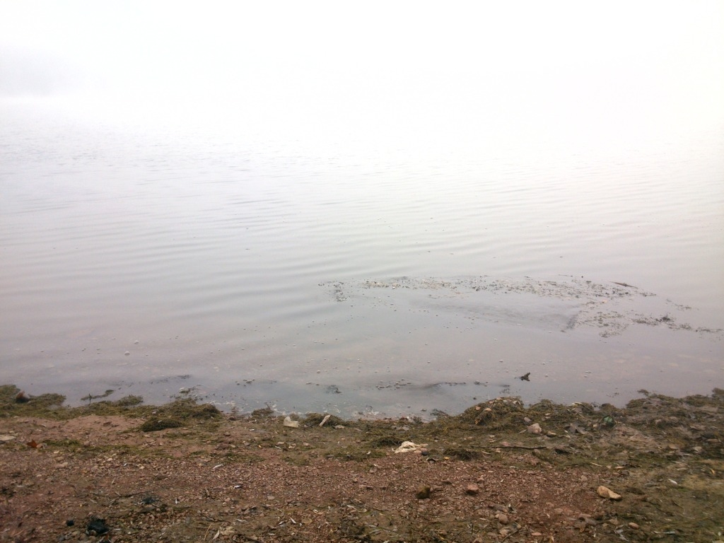 DSC 0134