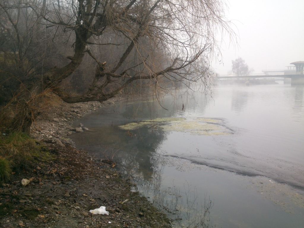 DSC 0139