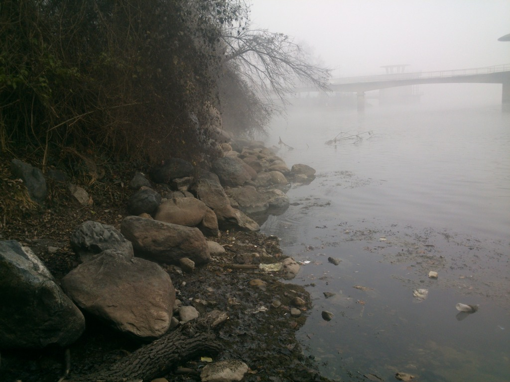 DSC 0145