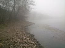 DSC 0150
