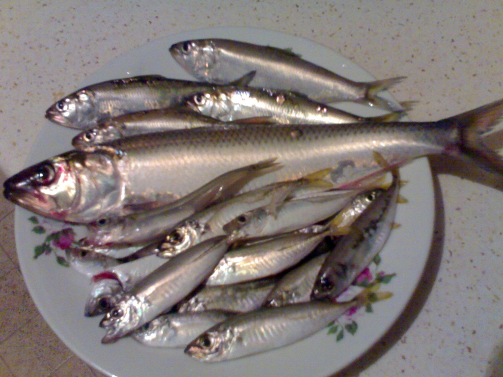 05.09.2010 ve4erta na Morska Gara Varna