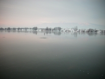 IMG 8259