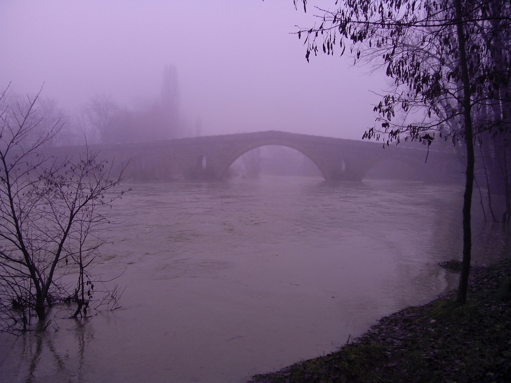 IMG 20150124 082127