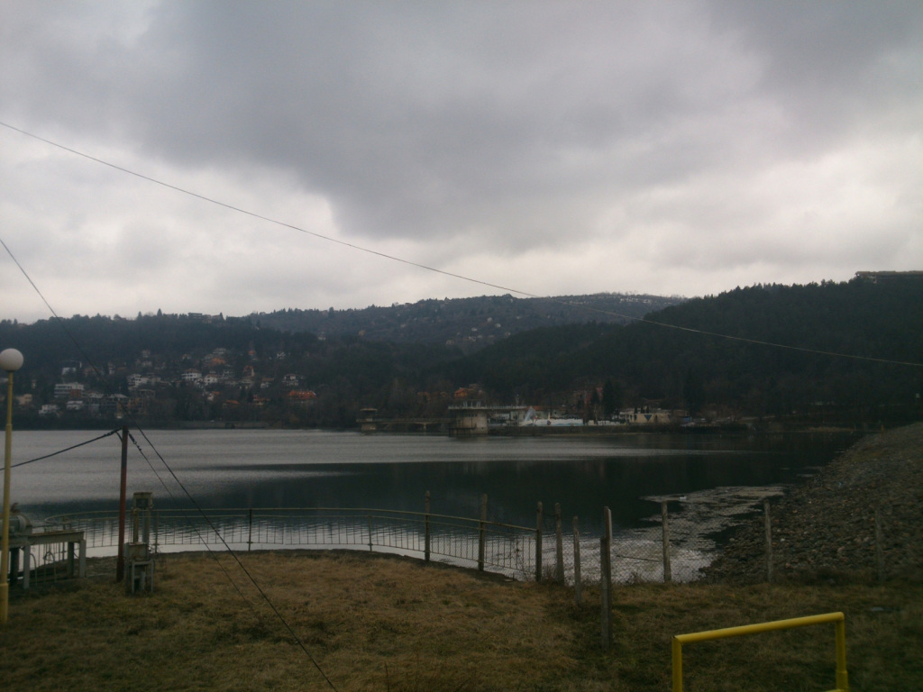 DSC 0001 (1)