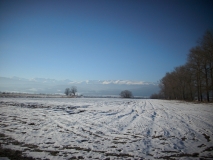 IMG 8451