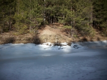 IMG 0390