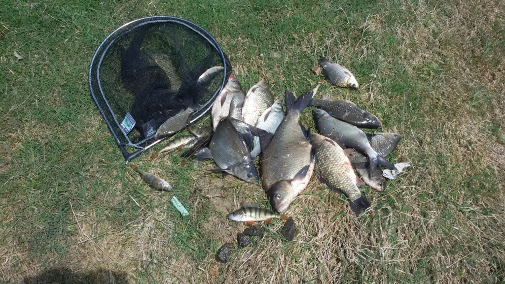 20150423 141224