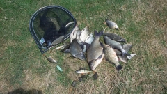 20150423 141224