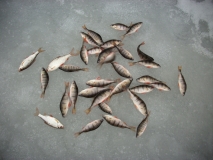 IMG 0400