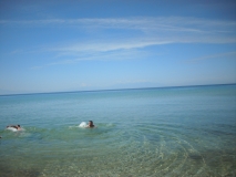 IMG 8843