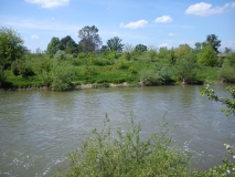 DSC 0014