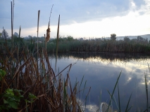 DSC 0017