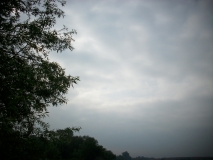 IMG 9013