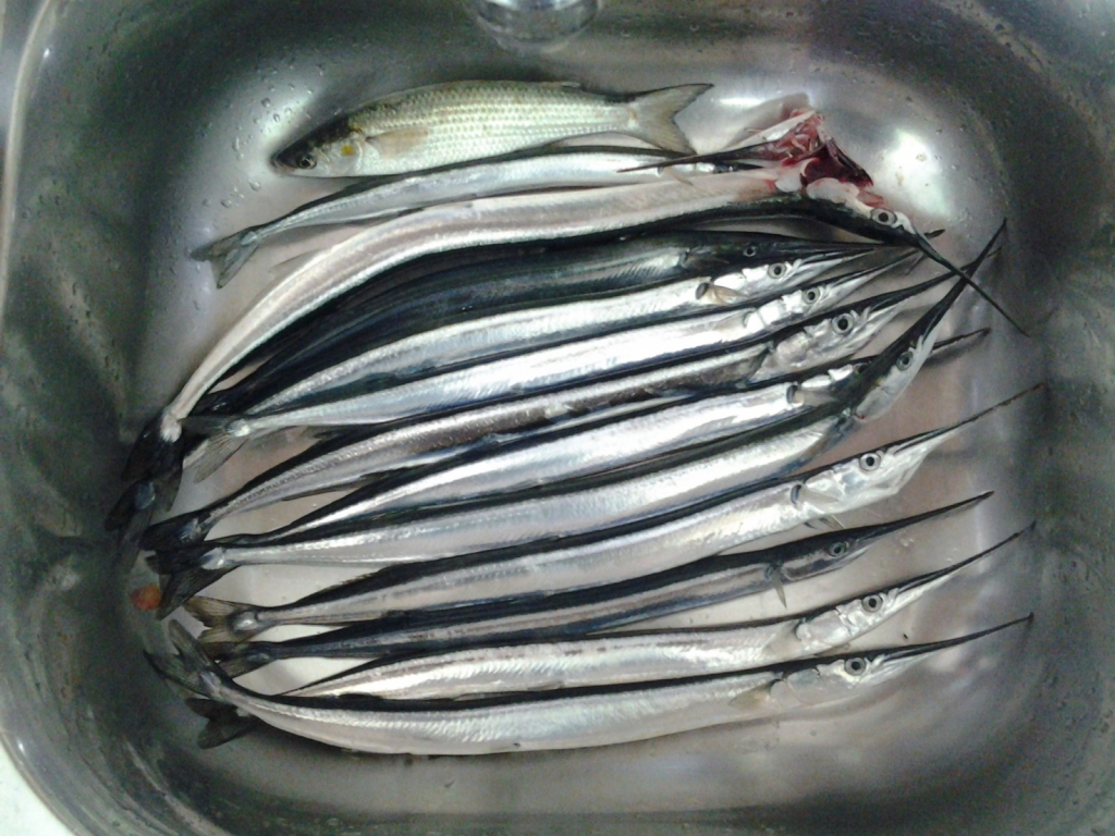 20140924 132429