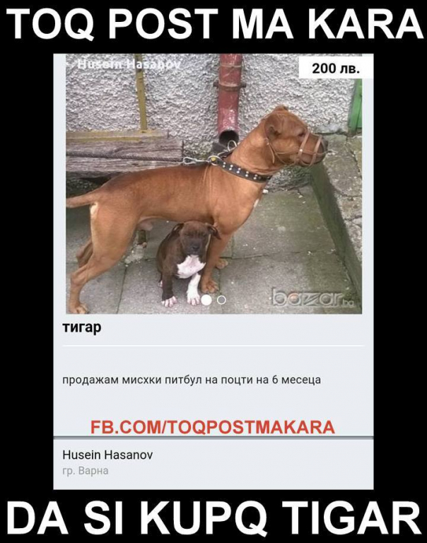 10505437 521435061346462 2154010094427950996 n