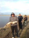 Снимка0185.jpg