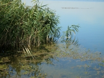 IMG 9557