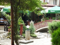 IMG 9579