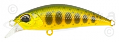 Spearhead Ryuki 0018 P34