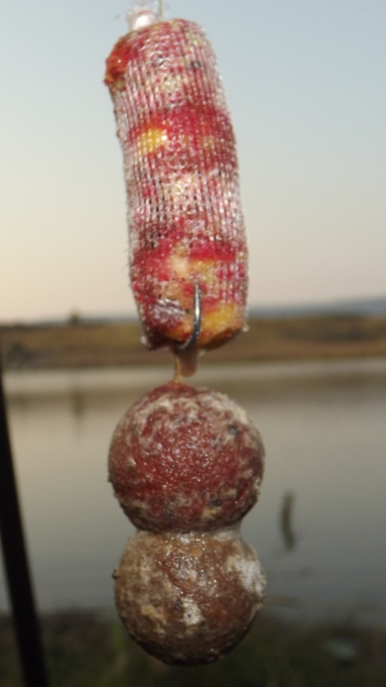 DSCF6361