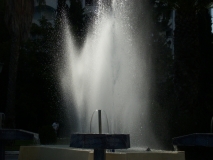 IMG 9805