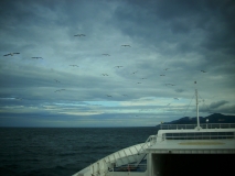 IMG 9919
