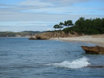 IMG 9953