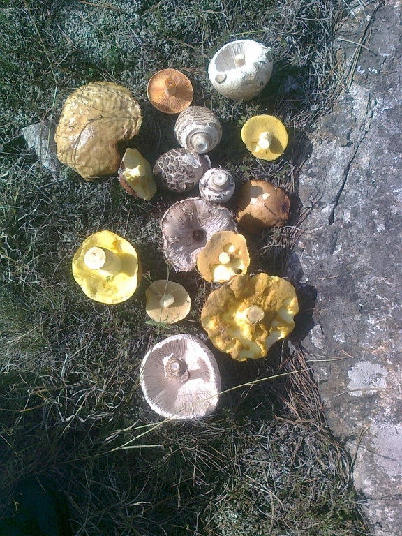 Снимка0763.jpg