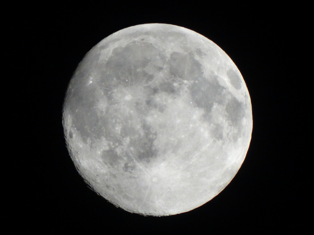 DSC00676